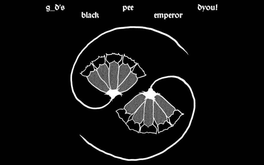 Godspeed You! Black Emperor 06/10/2024 Paris Le Trianon France
