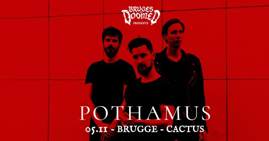 Pothamus - 05/11/2025 - Brugge - Cactus - Belgium